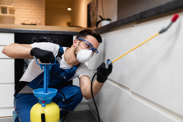 Best Best Pest Control Companies  in River Ridge, LA