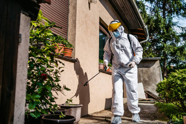 Best Cockroach Control Services  in River Ridge, LA