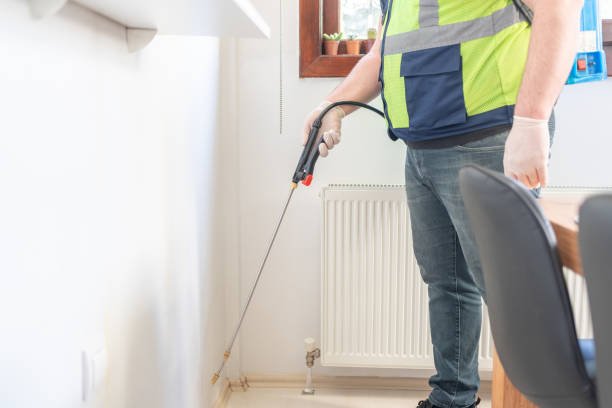 Pest Prevention Services in River Ridge, LA